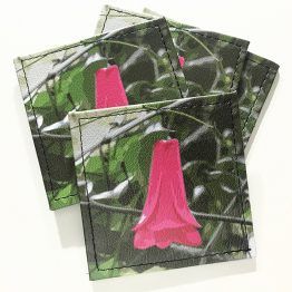 pack de 4 posavasos de ecocuero con imagen de un copihue colgando de sus ramas